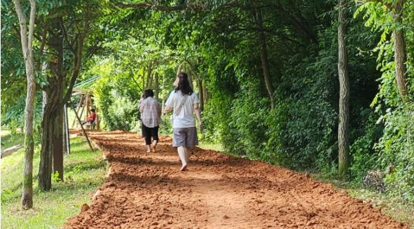계룡시, 두계천 황톳길 정비 완료...시민 힐링공간 새단장 기사 이미지