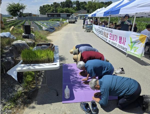 진천군농민회, 2026 통일기원 모내기 행사 개최 기사 이미지