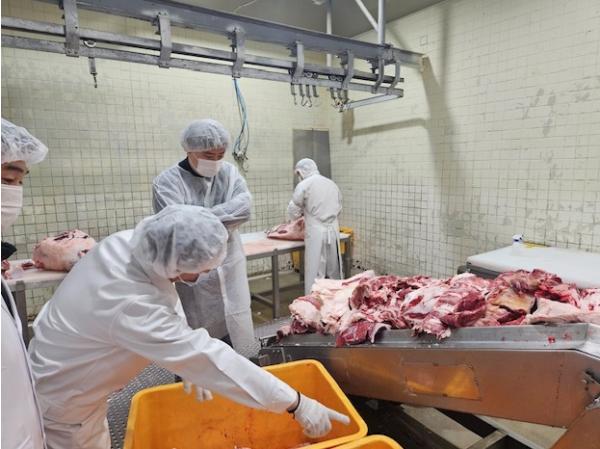 수입육 국내산 둔갑·여름 식중독 다 막는다! …송파구, 축산물 집중 위생점검 기사 이미지