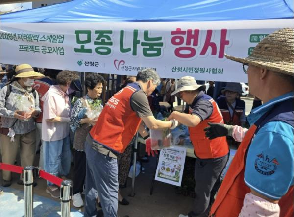 산청군, 초화류 모종 나눔 행사 개최 기사 이미지