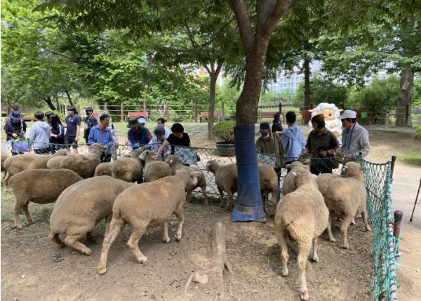 남동구 치매안심센터, 치매 환자와 함께하는 ‘푸른 숲 힐링 나들이’ 기사 이미지