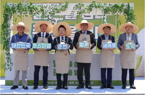 춘천 소양강 멜론, 대한민국 대표 프리미엄 멜론 ‘도전장’ 기사 이미지
