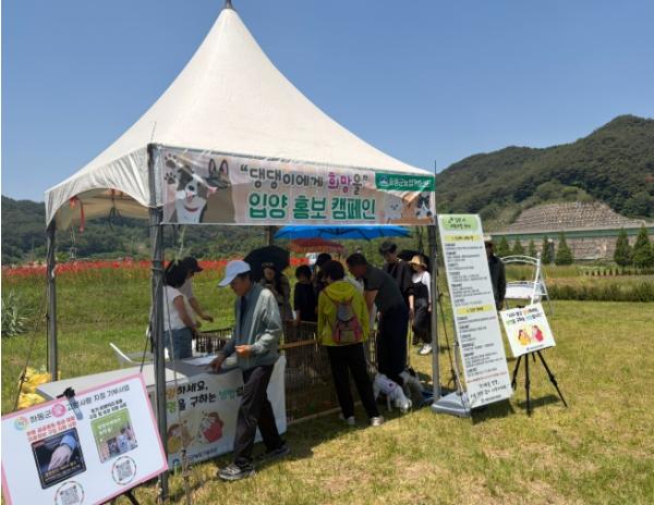하동군 유기동물 입양 ‘껑충’..전년 동기 대비 54.5% 증가 기사 이미지