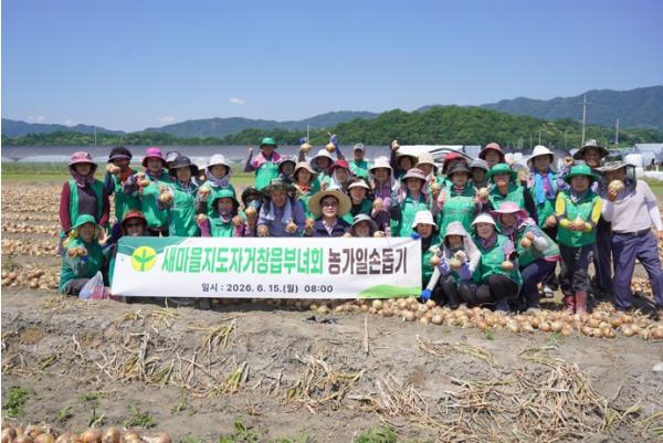 거창군 농번기 일손 부족에 힘 보태, 새마을지도자거창읍부녀회 양파 수확 봉사   기사 이미지