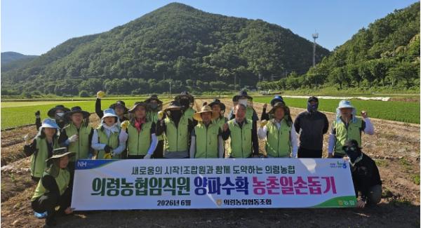 의령농협, 양파 수확철 맞아 농촌일손돕기 실시 기사 이미지