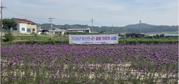 영천시 화산면, 보랏빛 여름꽃 만개! 기사 이미지