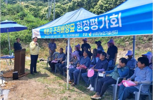 순창군, 복분자 조직배양묘 현장평가회 개최 기사 이미지