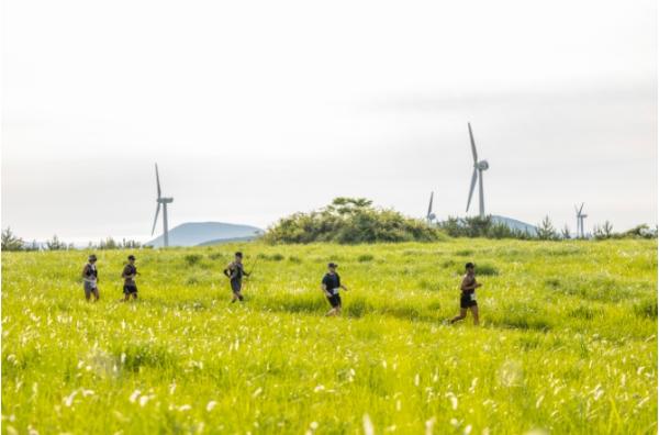 트레일런 뛰러 제주 왔다…2,000명 러너가 만든 관광 활력 기사 이미지