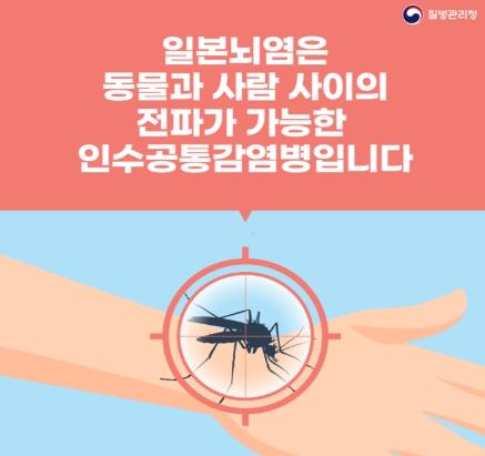 질병관리청, 일본뇌염 바이러스 검출, 전국 경보 발령 기사 이미지