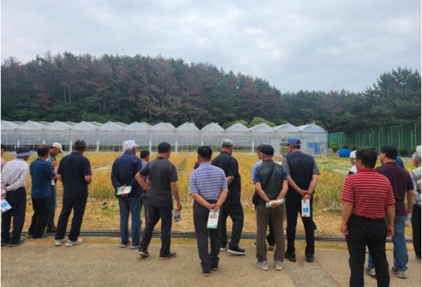 천안시농업기술센터, 북면농촌지도자회 양념채소 현장교육