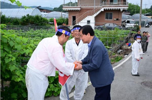 김천시, 2026년 용복·신평마을 단오 줄다리기 행사 성황리 개최 기사 이미지