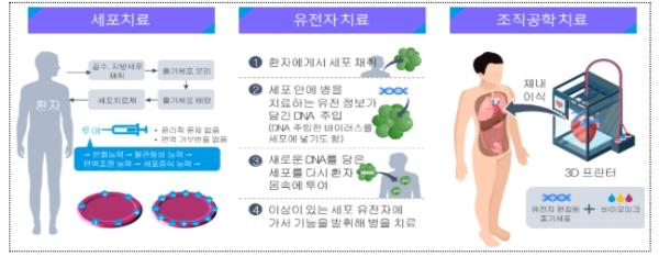 보건복지부, 첨단재생의료실시기관 확대해 연구·치료 기반 넓힌다