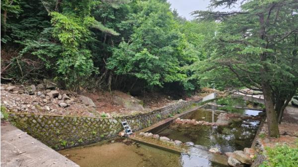 전남도, 산림계곡 불법시설 정비 속도