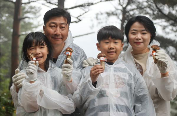 양양군, 2026년 양양 송이·연어축제 10월 통합개최 확정 … 오는 10월 16일 막 올린다 기사 이미지