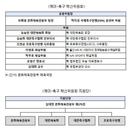 문화체육관광부, '케이-축구 혁신위원회' 출범, 한국 축구의 미래를 그린다