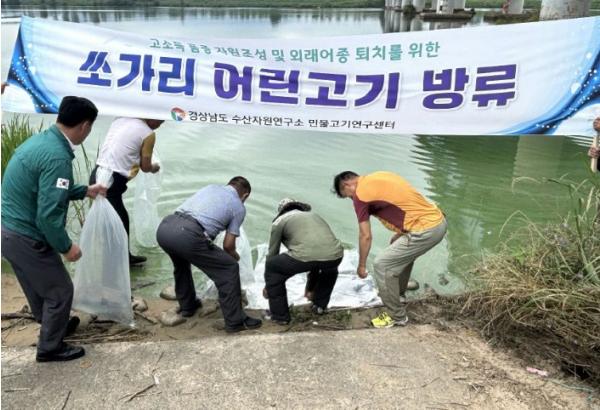 경남도, 쏘가리 어린고기 방류로 내수면 자원회복 선도