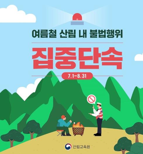 산림청, 여름철 산림 내 불법행위 집중단속(7.1~8.31)