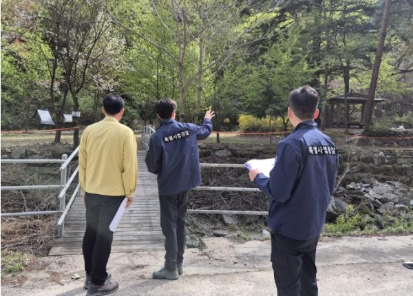 산림청, '돈벌이용 산림 훼손 무관용 원칙'··· 약용수 불법 채취 엄단