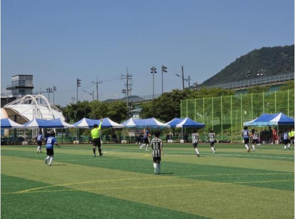 2026 문경 유소년 축구 페스티벌 개최 기사 이미지
