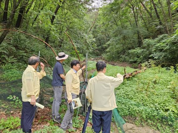북부지방산림청, 집중호우 산림피해 일제 조사 착수... '2차 피해 차단·항구복구 총력'