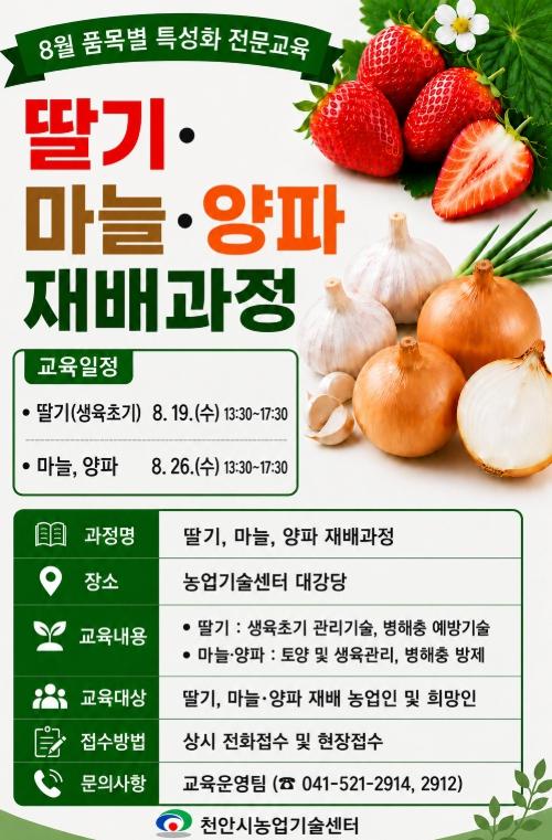 천안시농업기술센터, 내달 ‘딸기·마늘·양파 재배 과정’ 운영 기사 이미지