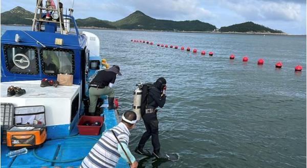 군산시 3배체 굴 시범양식 순항…첫 현장 모니터링서 안정적 생육 확인 기사 이미지