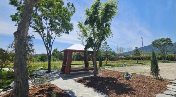 임실군 녹색환경 조성 박차, 학교숲, 가로수 조성 완료 기사 이미지