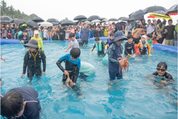 올 여름 고성 해변은 축제의 바다! 기사 이미지