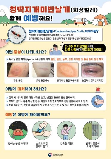 남원시보건소, 여름철 기온 상승 속 화상벌레 접촉 주의 당부 기사 이미지