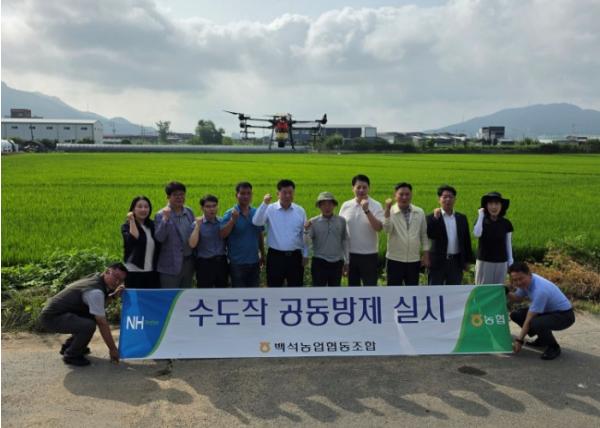 양주시, 벼 병해충 드론 공동방제 실시…고품질 양주쌀 생산 총력 기사 이미지