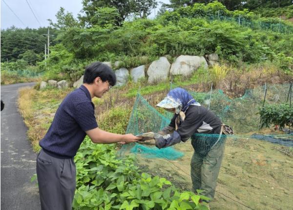강릉시, 폭염 대응 농업인 온열질환 예방 현장점검 실시 기사 이미지