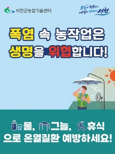 서천군, “물·그늘·휴식으로 온열질환 예방하세요!” 기사 이미지