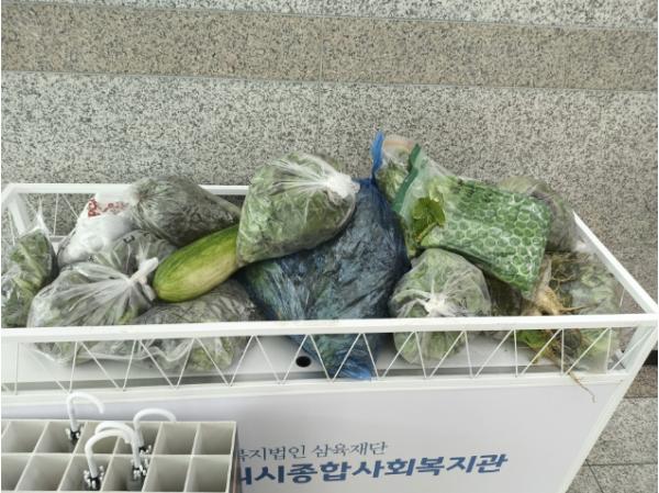 구리시, 도시농부 정성 담은 텃밭 수확물 190㎏ 나눔 기사 이미지