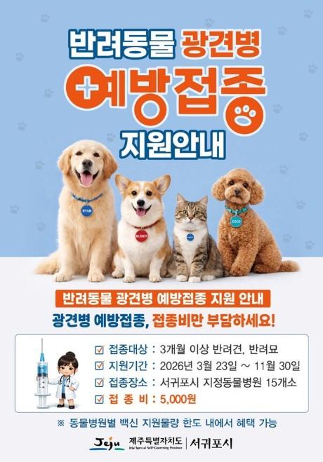 서귀포시, 건강한 반려문화 실천 '광견병 예방접종'에 참여하세요! 기사 이미지