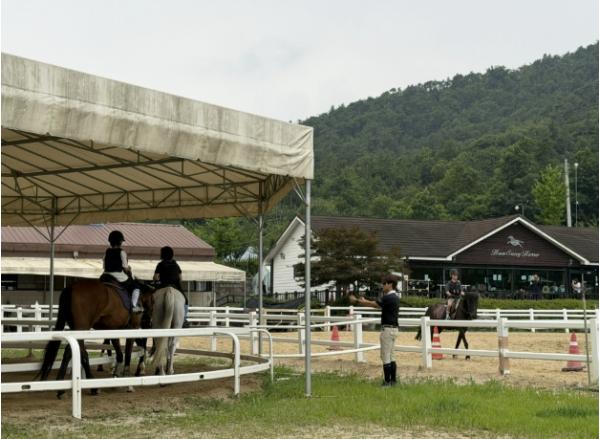 동두천양주교육지원청, '지역 자원과 스포츠가 만나다' 승마 프로그램으로 학생 성장 지원