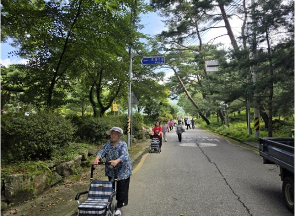 2026년 봉화군 치매안심센터 '한마음 치매극복 걷기행사' 개최 기사 이미지
