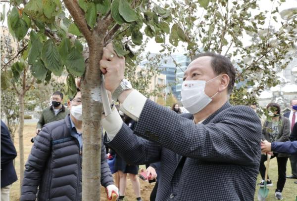 마포에서 가족의 소중한 순간과 이야기를 나무 한 그루에 담아보세요 기사 이미지