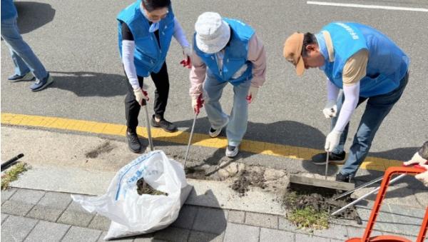 고양시 마두1동 통장협의회, 집중호우·태풍 대비 빗물받이 청소 실시 기사 이미지