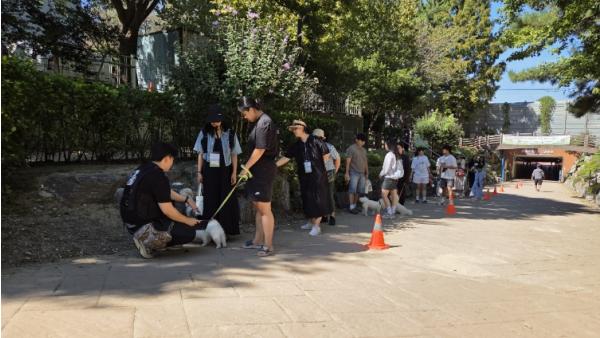 부산 북구, 반려견과 함께하는 ‘가족 숲속 나들이’ 개최 기사 이미지
