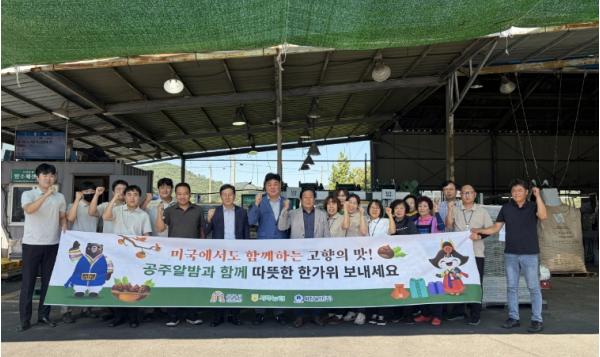 공주시, 추석 맞아 ‘공주알밤’ 햇밤 4톤 미국 시장 수출 기사 이미지