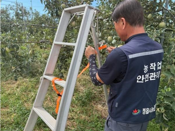 정읍시, 과수 농가 사다리 추락사고 예방 나서 기사 이미지