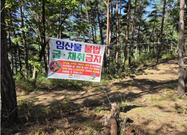 김천시, 가을철 산림 내 불법행위 집중단속 기사 이미지