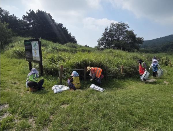 해운대구, 장산습지 생태계 교란식물 제거로 환경 보전 기사 이미지