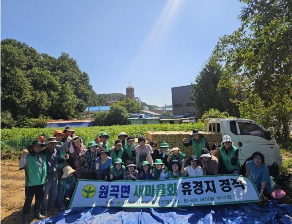 안성시 원곡면 새마을회, 휴경지 고구마 수확해 이웃사랑 실천 기사 이미지