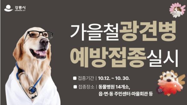 강릉시 가을철 무료 광견병 접종 실시 기사 이미지