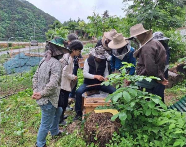홍천군, 한봉 농가 대상 월동관리 기술교육 실시월동기 사양관리 및 벌통 보온방법 교육, 농가별 현장실습 병행 기사 이미지