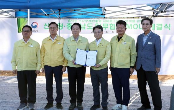 충청남도, 재선충병 피해목 긴급 방제 추진