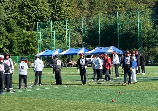 영주시, 생활체육인 1,160여 명 맞이…게이트볼·파크골프대회 개최 기사 이미지