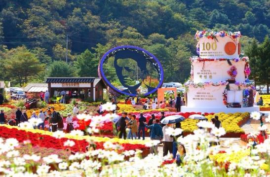 인제가을꽃축제, 만개한 꽃길 따라 10월 18일까지 연장 운영 기사 이미지