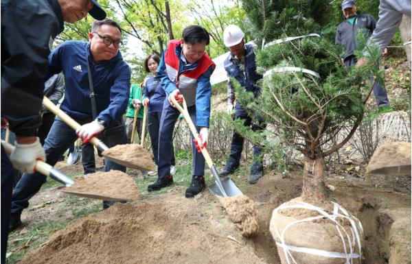 서대문구, 나무 30만 그루로 도시를 숲으로 기사 이미지